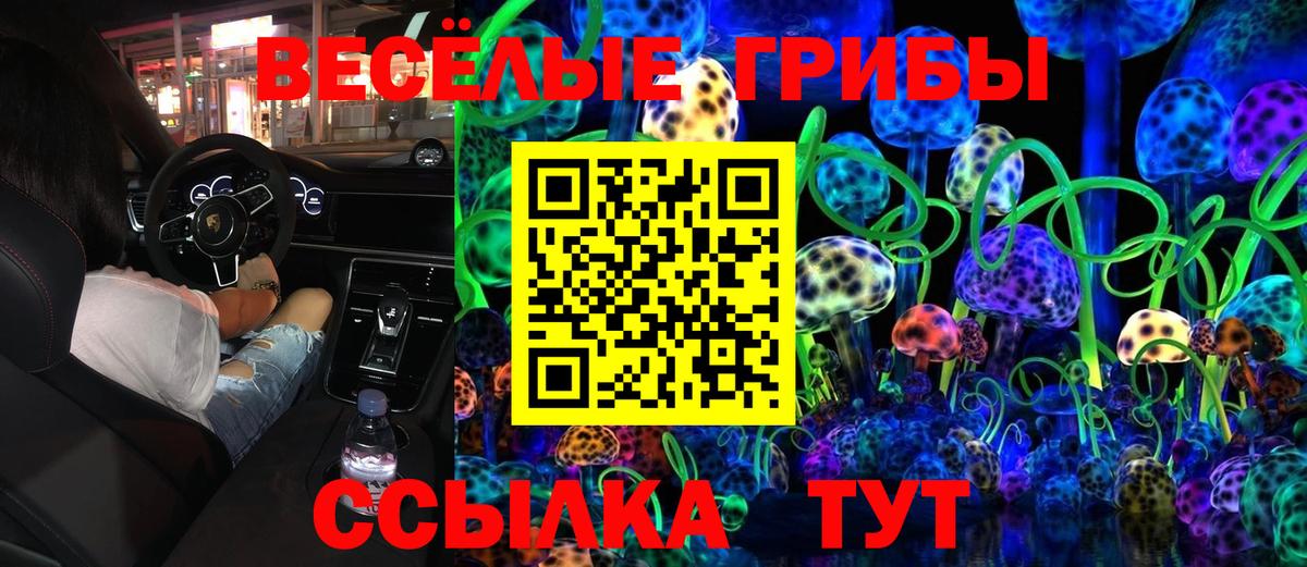 Псилоцибиновые грибы Psilocybine cubensis  купить закладку  Дубна  Вход с VPN 